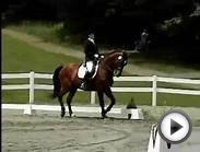 How to Find Ideal Focus When Competing in Equestrian Sports